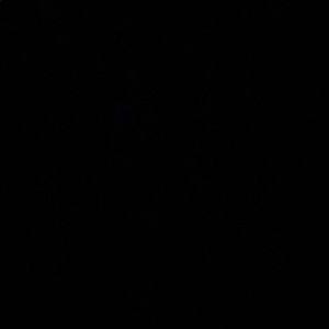 Meet your Posher, Isabella